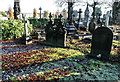 Sun melts the frost between the gravestones, Warrington Cemetery in Warrington
