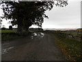 Track to West Mains of Kincaldrum in DD8 1TT
