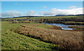 Loudon Pond Nature Reserve in South Lanarkshire
