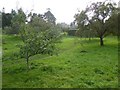 The orchard at Sizergh Castle in LA8 8AQ