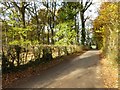Country road from Upper Munderfield in HR7 4TB