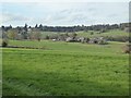 View to Red Hill and Bredenbury in HR7 4SY