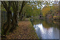 Dudley No.2 Canal at Coombeswood in B62 8EX