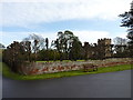 Pollarded trees around Holt Castle in WR6 6NG