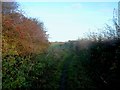 Track and Bridleway at Lidgets Hill in S66 7SL