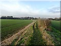 Farm Track and Public Footpath in S66 7SL