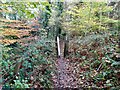 Squeeze stile in Hieron's Wood in DE56 4BP