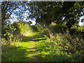 Bridleway south of Calverton in NG5 8PX