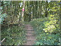 Public footpath into Fox Wood in NG14 6PH