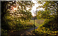 Path out of the copse, Bedfords Park, Havering-atte-Bower in RM1 4DG