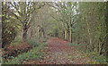 Bridleway in Bedfords Park, Havering-atte-Bower in RM3 7JS