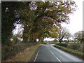 Bend in Nantwich Road in Wrenbury Ward