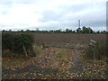 Field entrance near Wallstone Farm in Wrenbury Ward