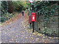 Elizabeth II postbox on Walmoor Park in CH3 6DT