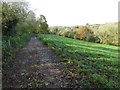 Farmland track, Little Cowarne in HR7 4RH