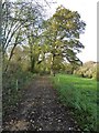 Track and footpath, Little Cowarne in HR7 4RH