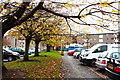 Autumn at Kings Court, Ayr in KA8 9NQ