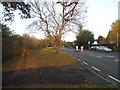 Chertsey Road, Chobham in GU24 8LD