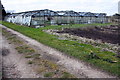 Greenhouses at Gray's Farm in Wokingham Without