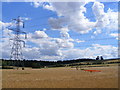 more pylons, poppies and prairie at Temple End in SG4 7TE