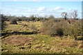 Rough grassland, L Moor in SG8 6NX