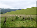 Embankment on the western edge of Cheddar Reservoir in BS26 2BA