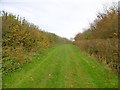 Long Bredy, bridleway in DT2 9EE