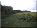 Field edge footpath south west of Stoke Bardolph in NG14 5HN