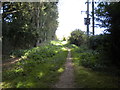 Footpath to Stoke Bardolph (1) in NG14 5HN