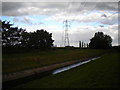 Pylons north of Stoke Bardolph in Trent Valley Ward