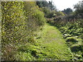 Grassy path in Llyn Llech Owain Country Park in SA14 7NN
