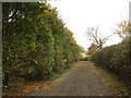 Bridleway at Slapton Hill Farm in Slapton