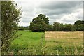 Farmland near Upper Burgate in SP6 1LY