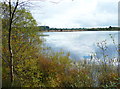View of the lake, Llyn Llech Owain Country Park in SA14 7NL