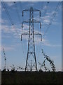 Electricity pylons near Whilton in NN11 2BL