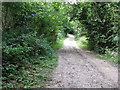 Path through Devilsden Wood in CR5 1BX
