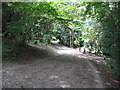 Path through Devilsden Woods in CR5 1BX