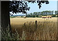 Farmland next to Teddesley Road in Acton Trussell and Bednall