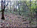 Steps in Bradwell Woods in ST5 7RG