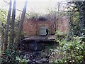 Culvert in Bradwell Woods in ST5 7RG