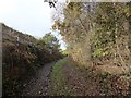 Track and footpath alongside High Carr Business Park in ST5 7RG