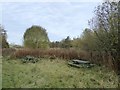 Overgrown picnic tables by Bradwell Woods in ST5 7AH