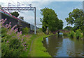 Towpath along the Staffordshire and Worcestershire Canal in ST17 0UW