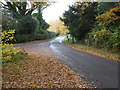 Looking west on Broxmead Lane in Cuckfield, Bolney & Ansty Ward