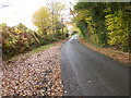 Broxmead Lane looking east in Cuckfield, Bolney & Ansty Ward