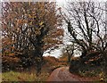 Green Lane to Huntsham in EX16 7QH