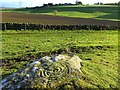 Cup and ring marked rock below Frankham Fell in NE47 5DZ