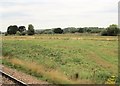 View from a Plymouth-Exeter train - fields near the Exeter Canal in EX2 8LP