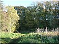 Public footpath south-east into Park Wood in LA11 6QF