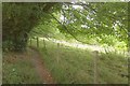 Monarch's Way above Salterton Farm in SP4 6AL
